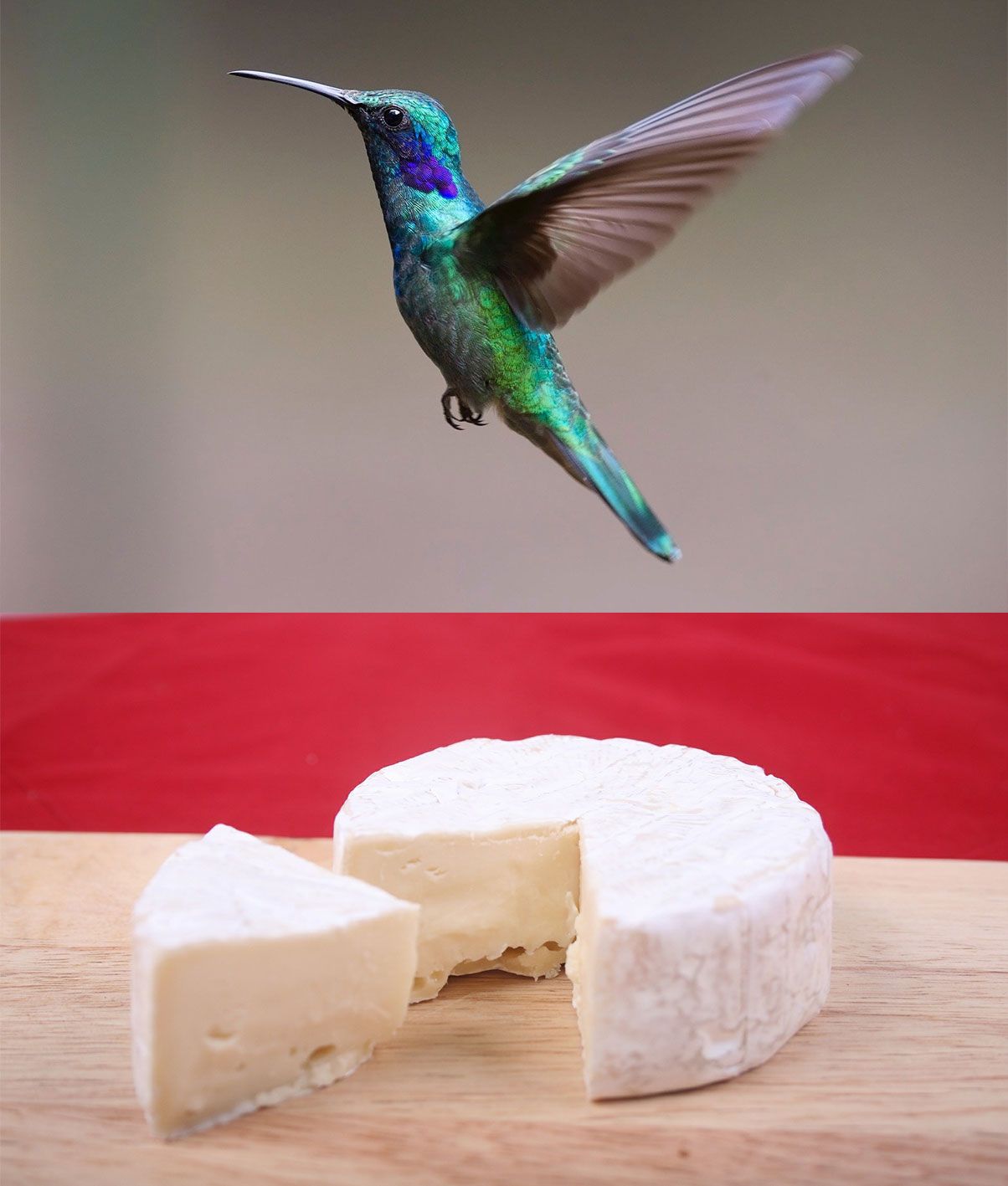 Kolbiri und Brie